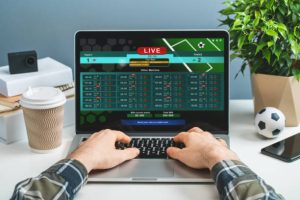 How Articles Are Organized on Online Casino Singapore Sites